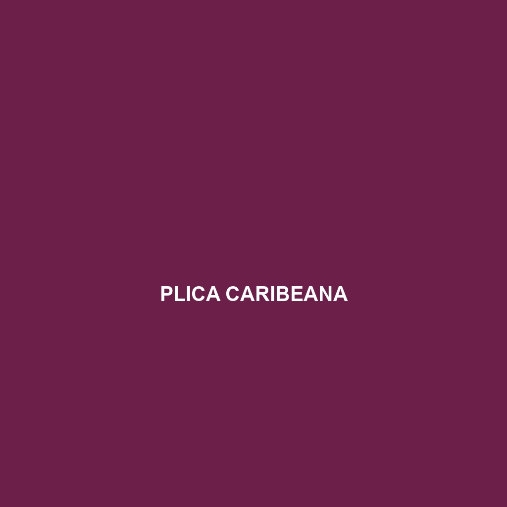 Plica caribeana