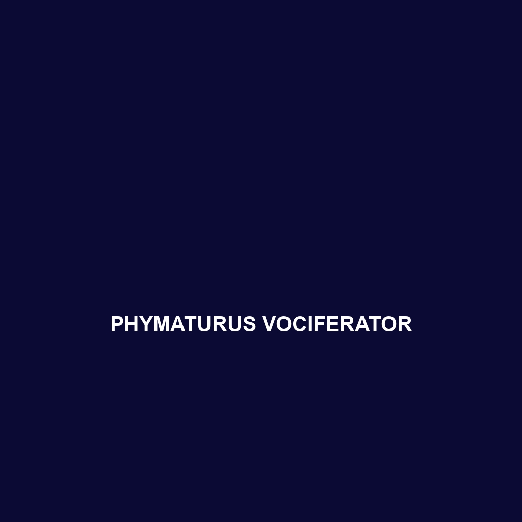 Phymaturus vociferator