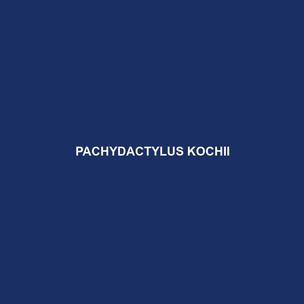 Pachydactylus kochii