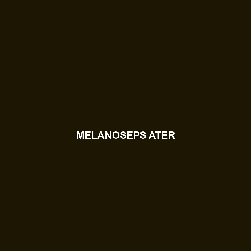 Melanoseps ater