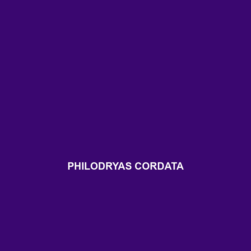 Philodryas cordata