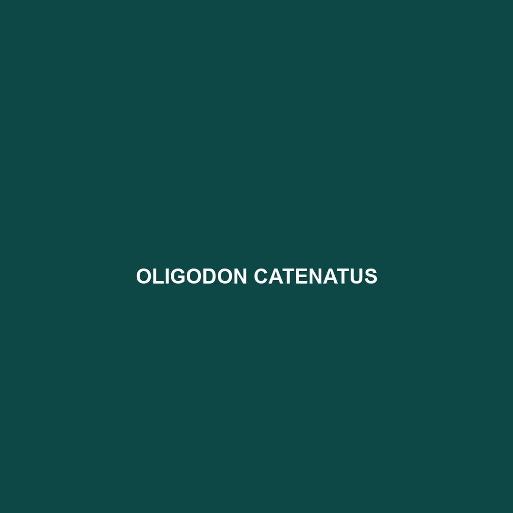 Oligodon catenatus