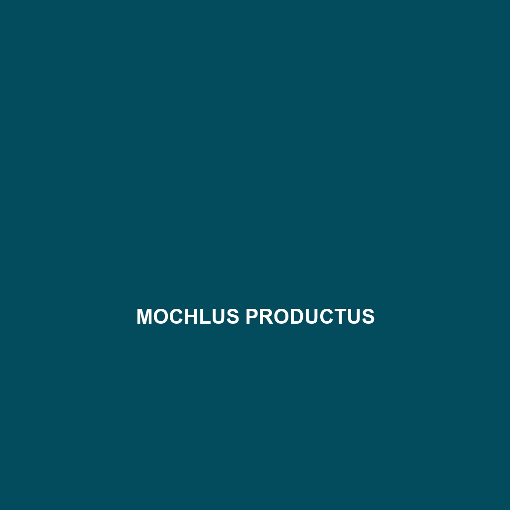 Mochlus productus