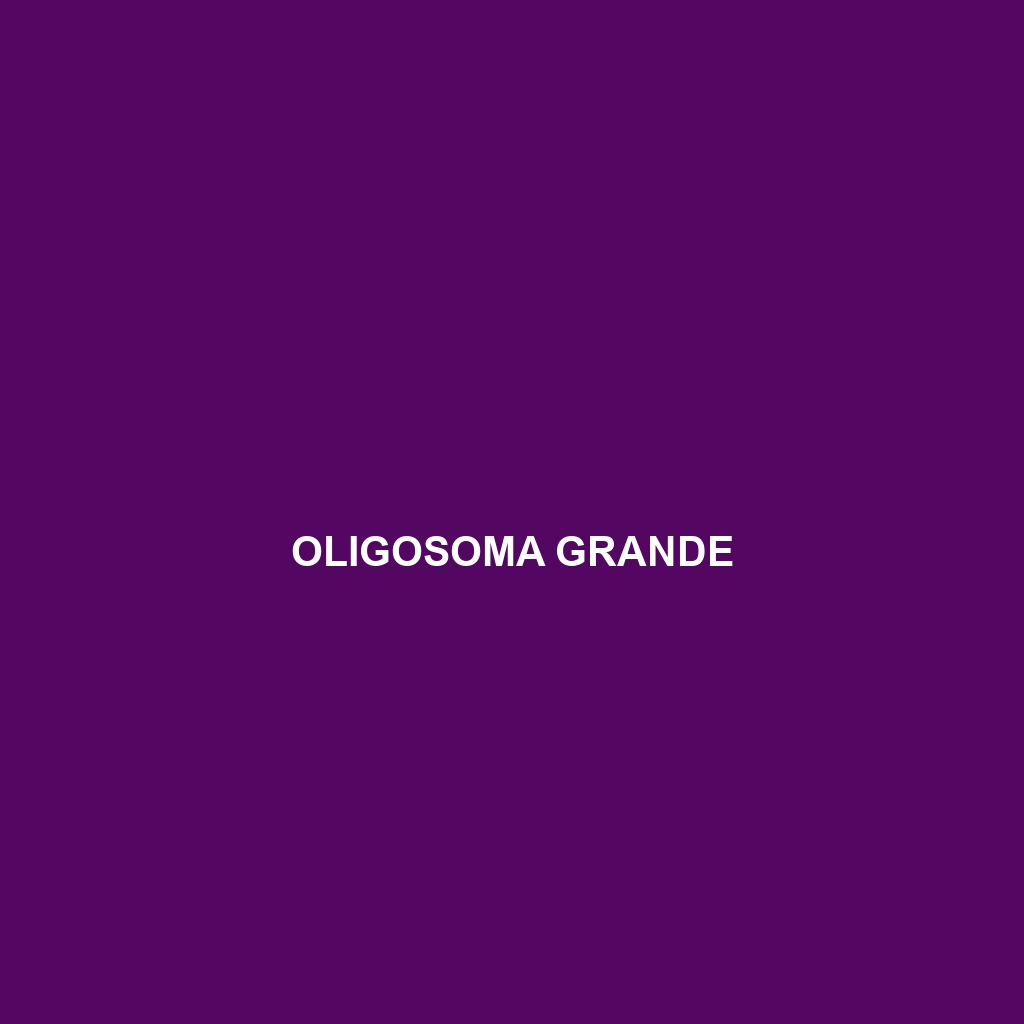 Oligosoma grande