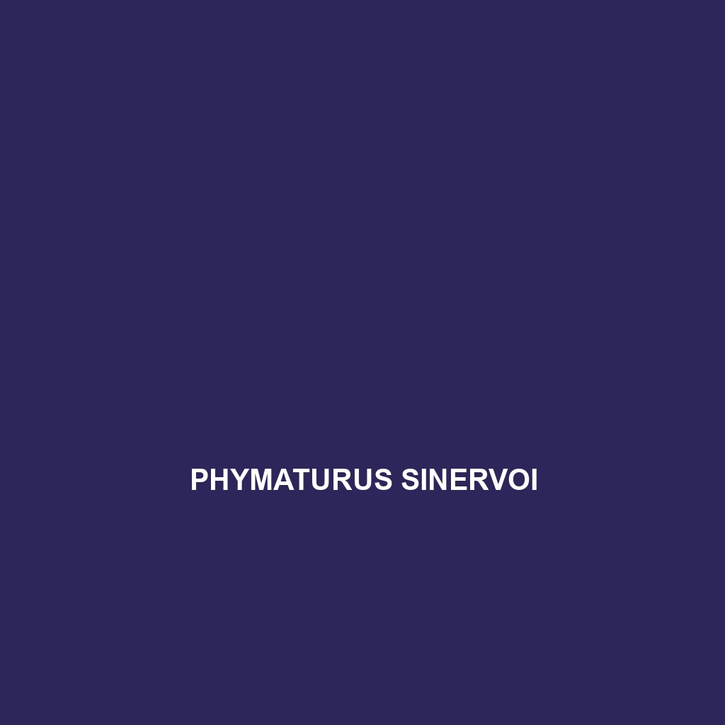 Phymaturus sinervoi