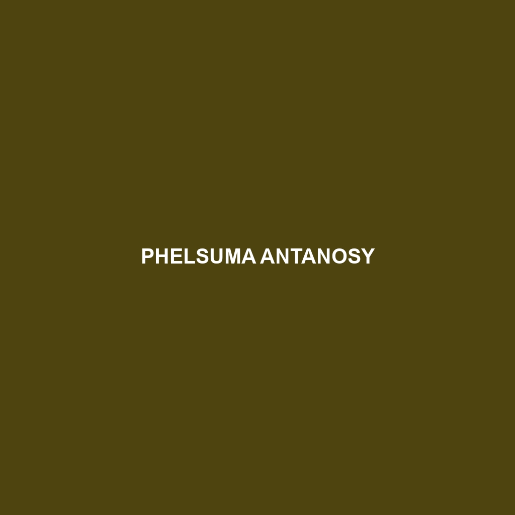 Phelsuma antanosy