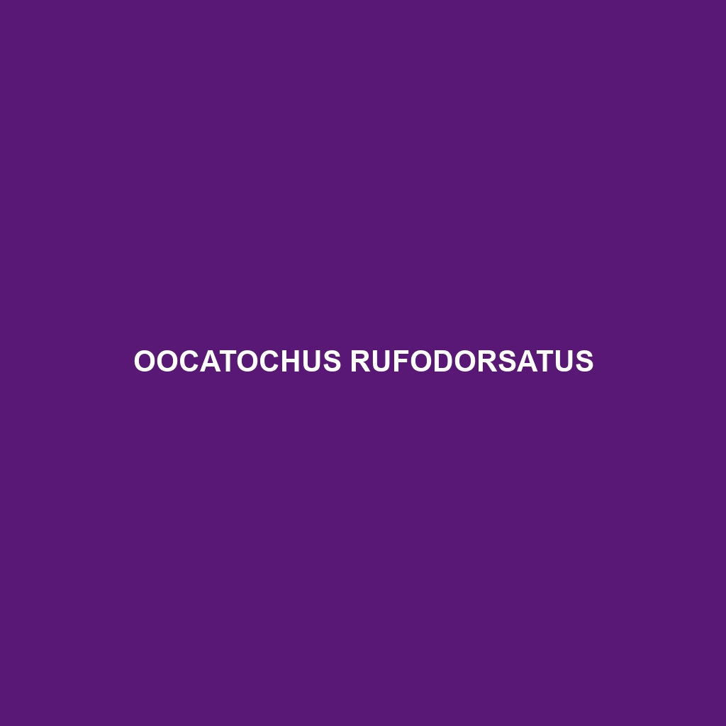 Oocatochus rufodorsatus