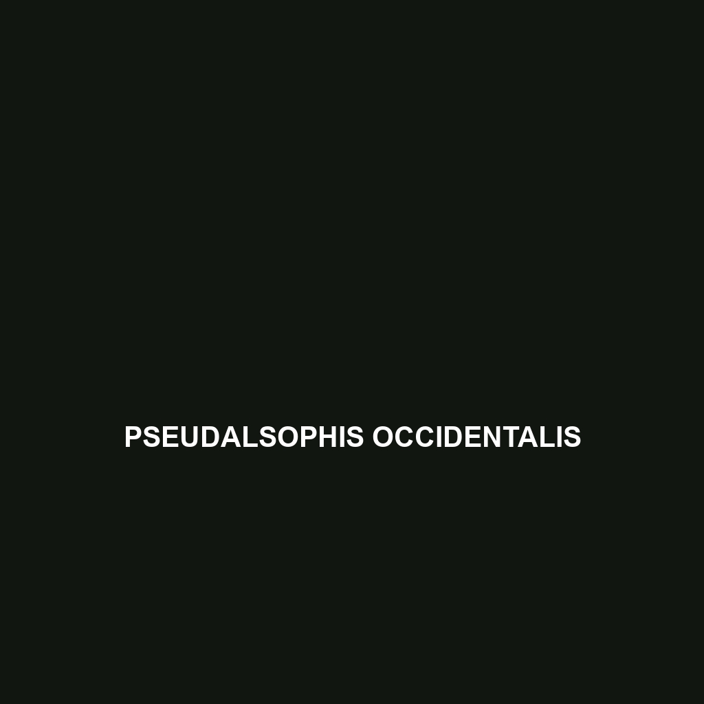 Pseudalsophis occidentalis