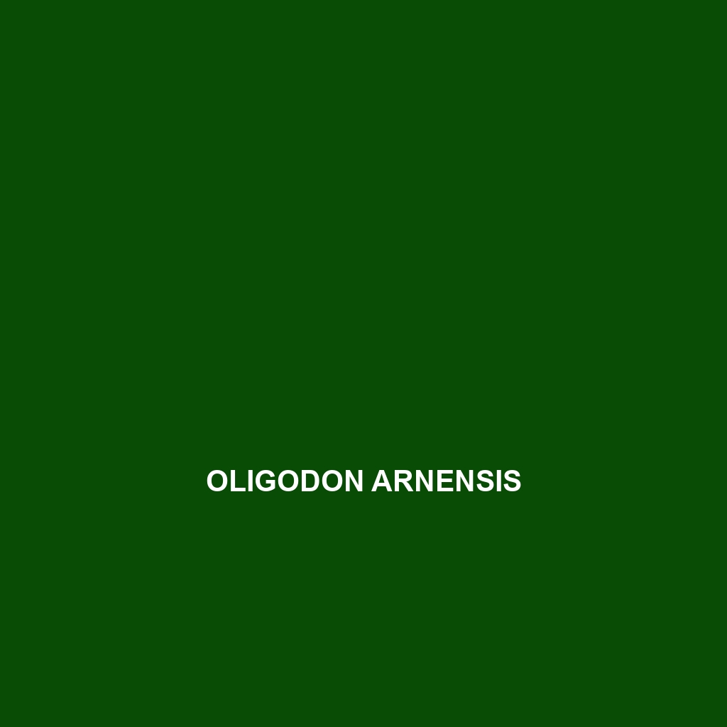 Oligodon arnensis