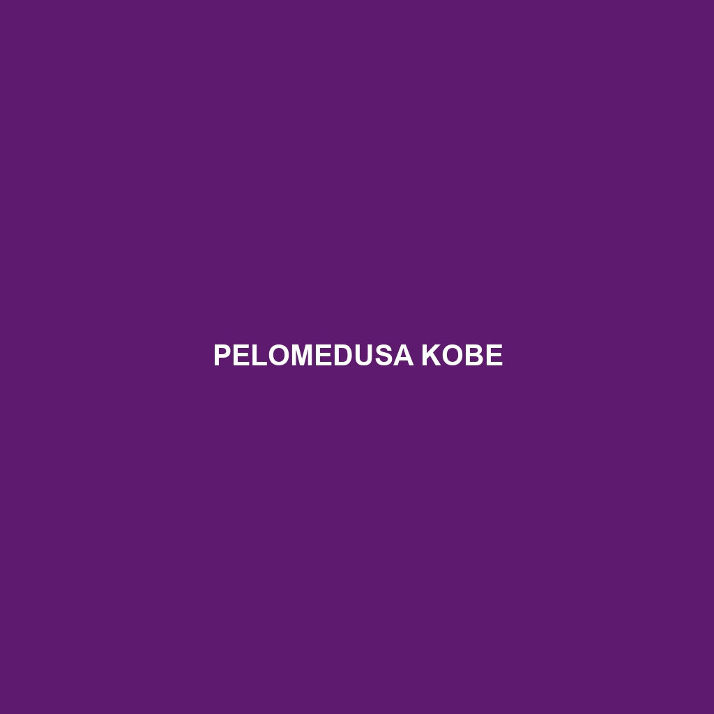 Pelomedusa kobe