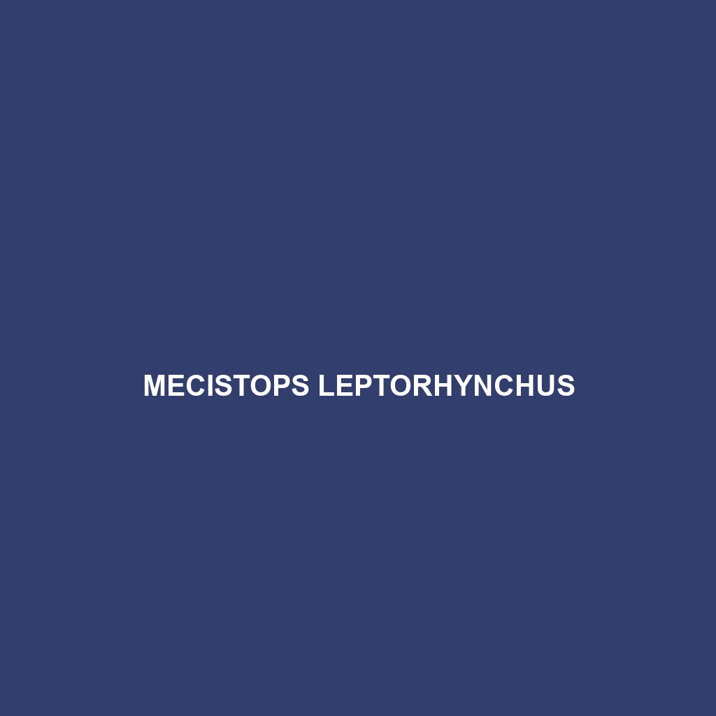 Mecistops leptorhynchus