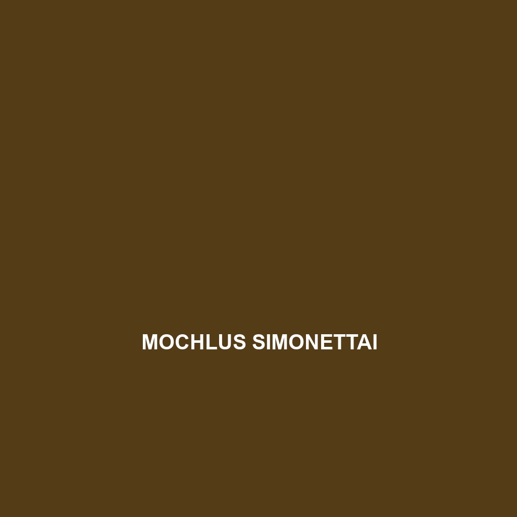 Mochlus simonettai