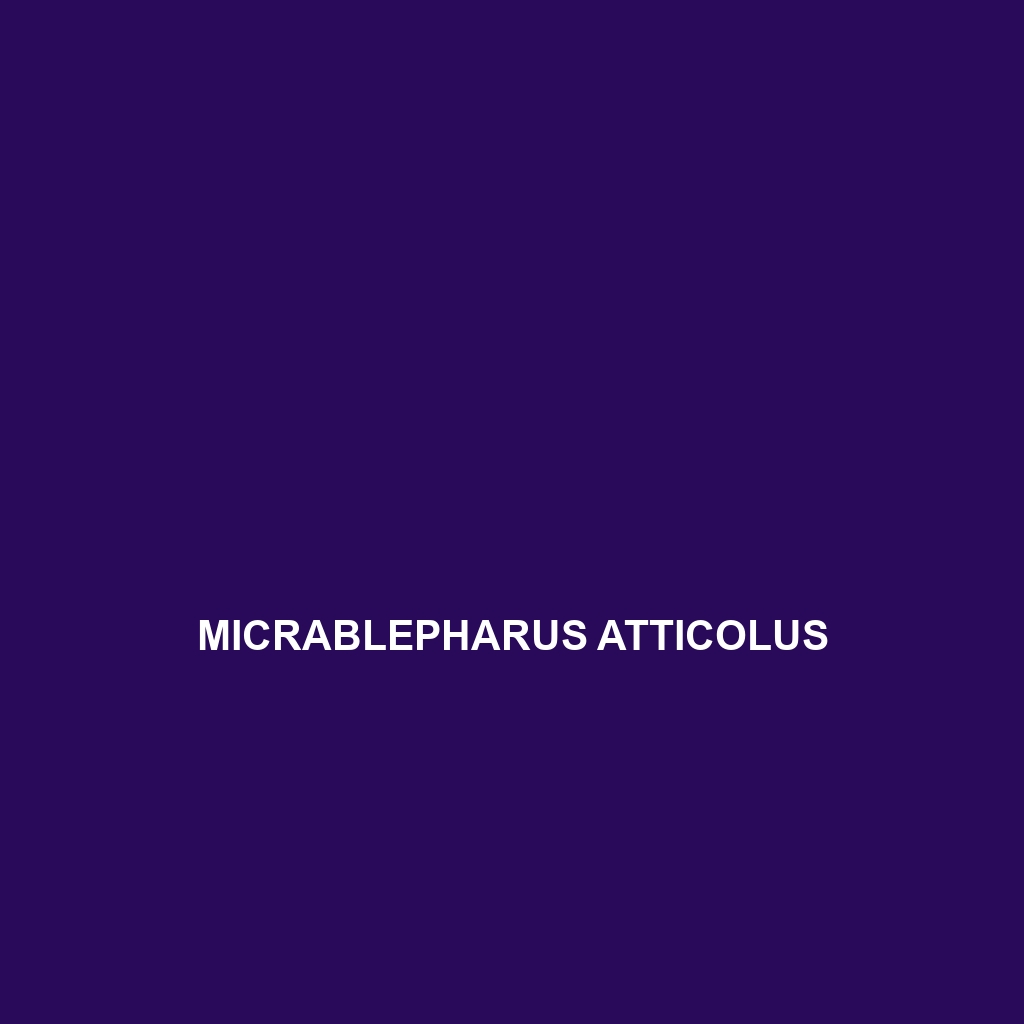 Micrablepharus atticolus