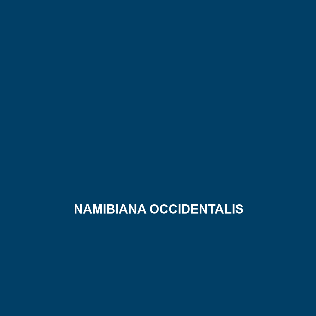 Namibiana occidentalis