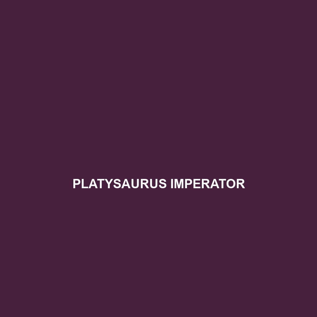 Platysaurus imperator