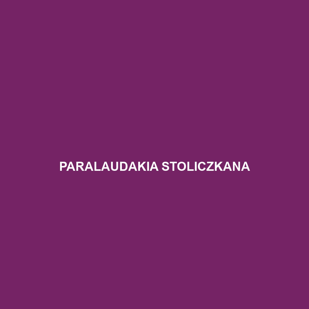 Paralaudakia stoliczkana