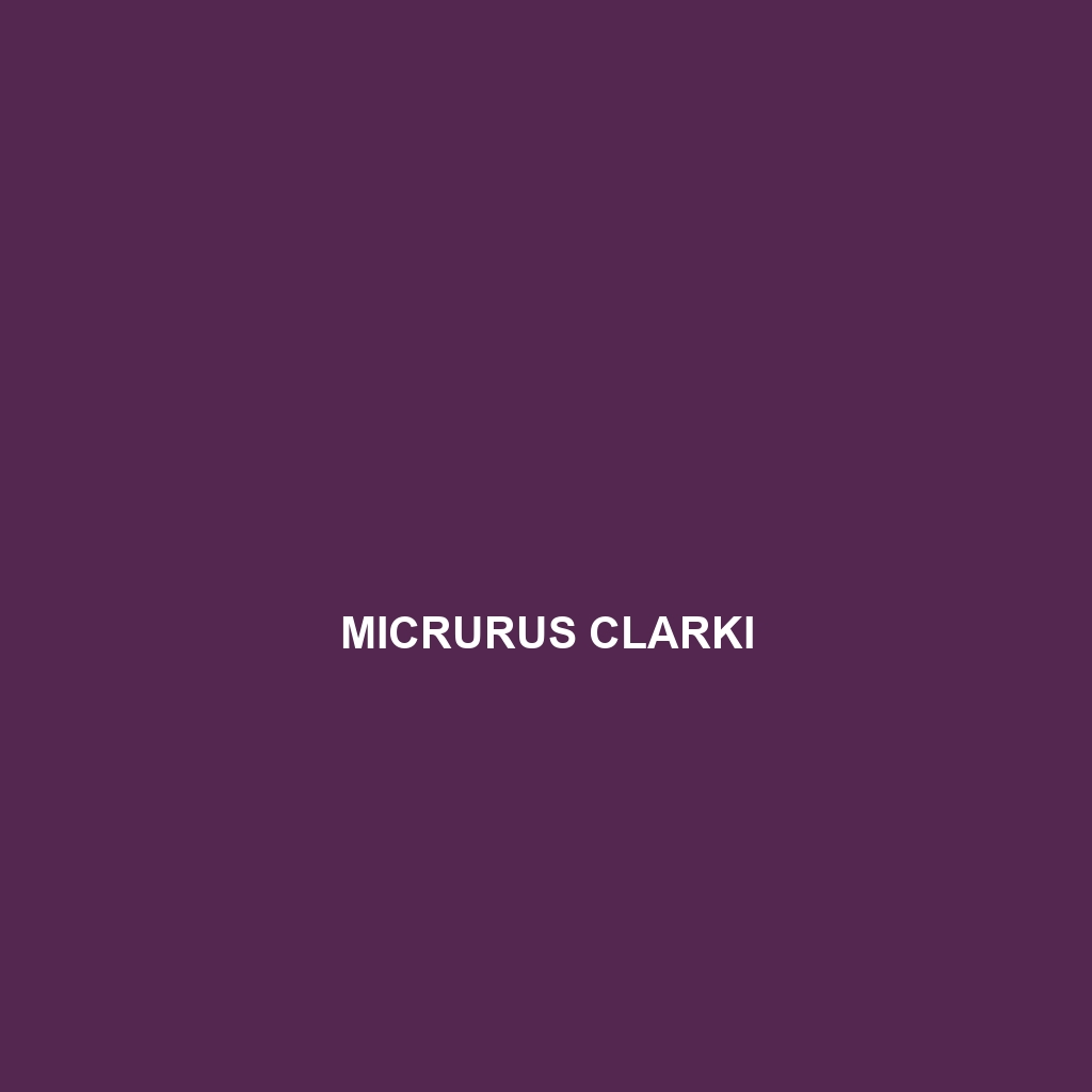 Micrurus clarki