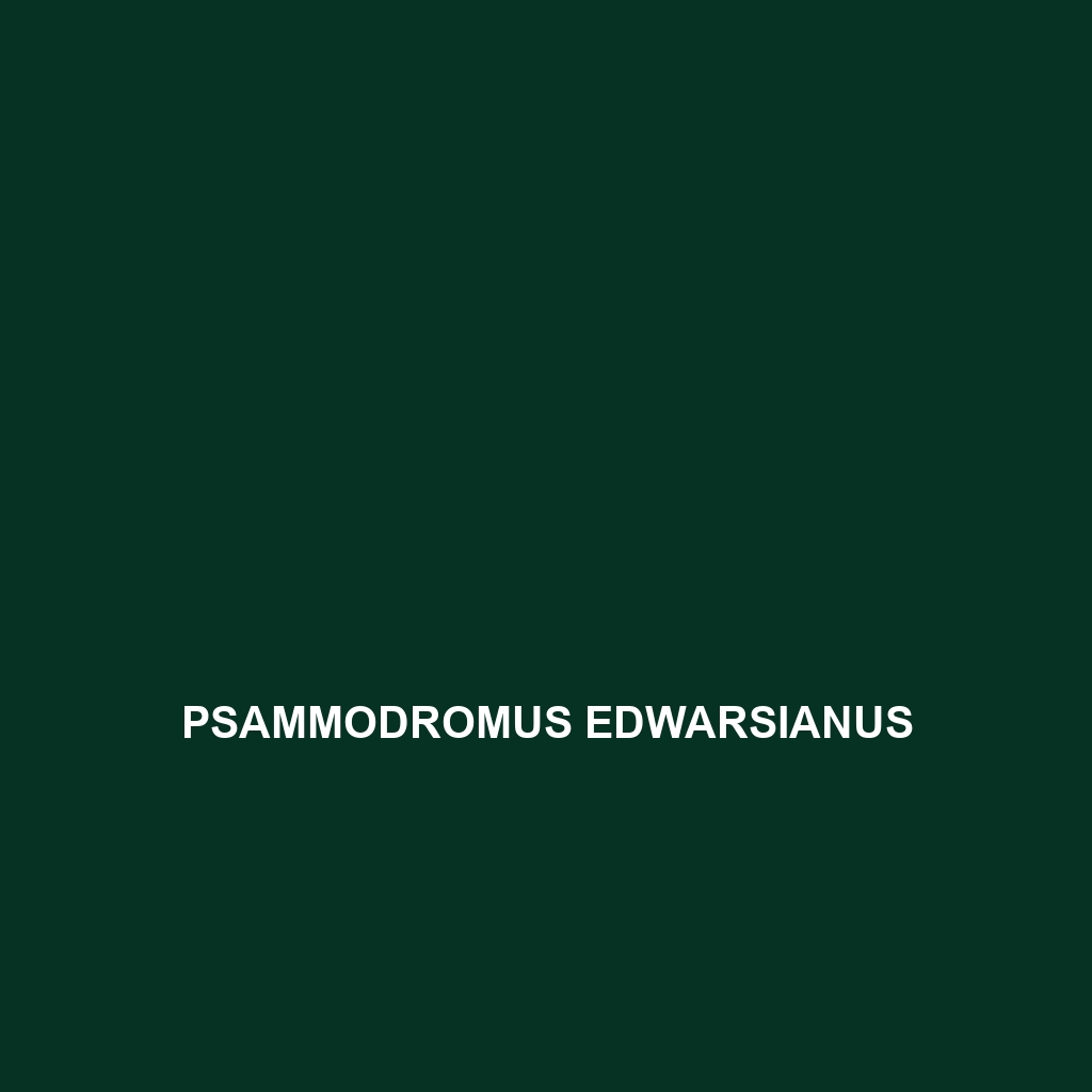 Psammodromus blanci