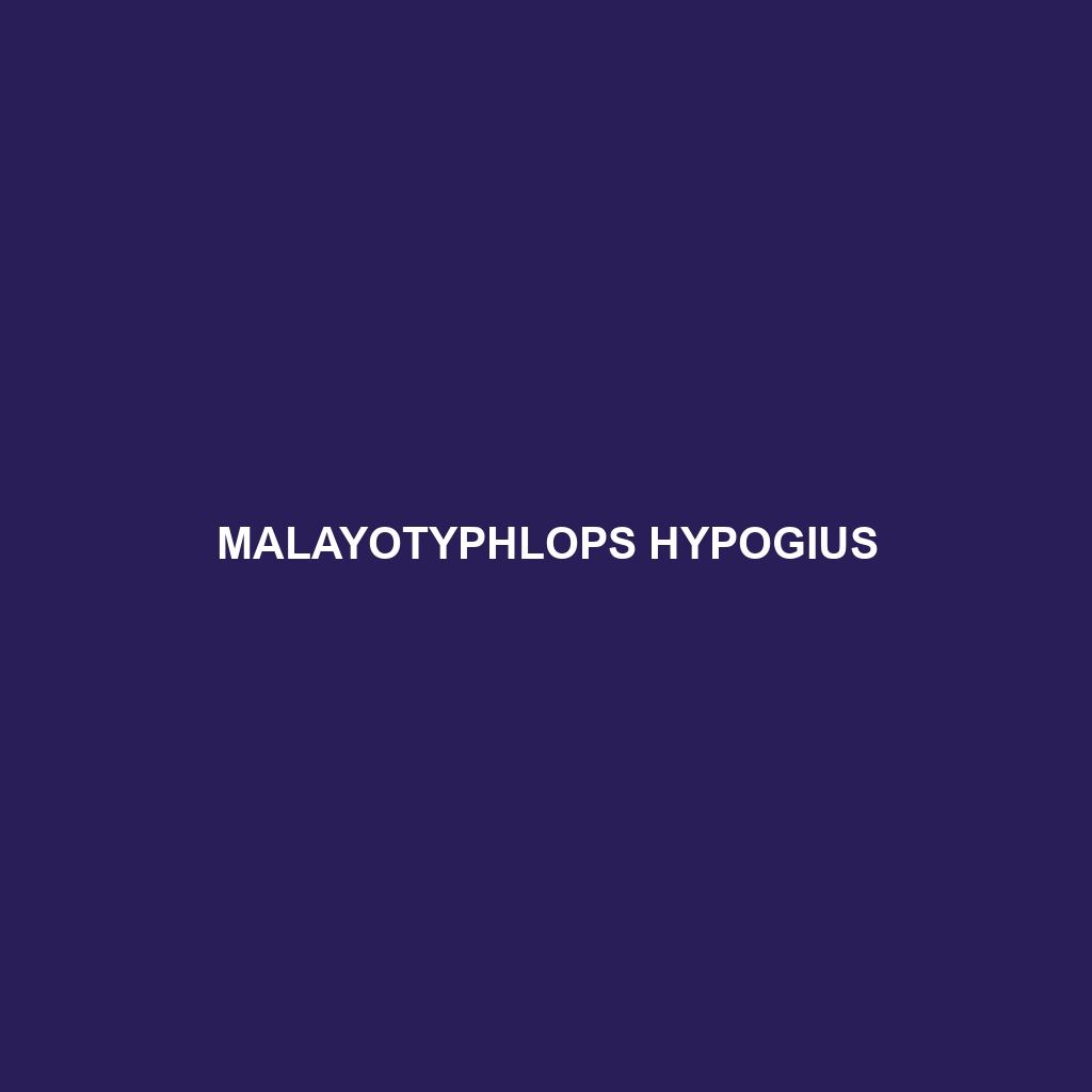 Malayotyphlops hypogius