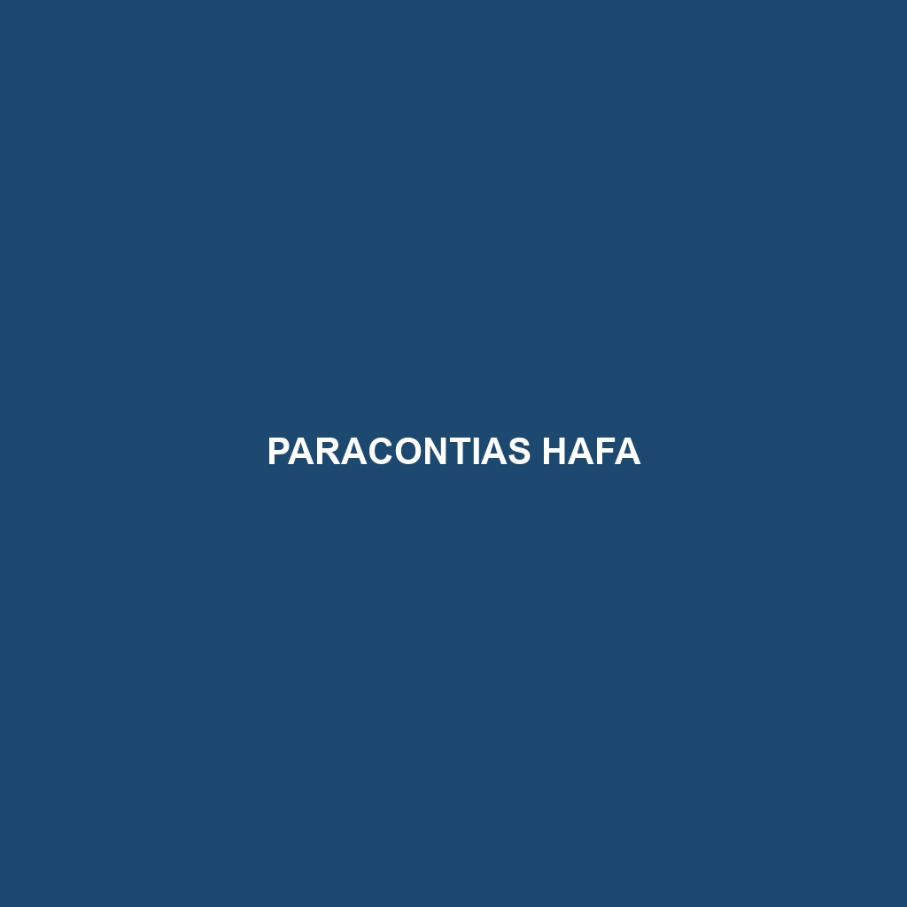 Paracontias hafa