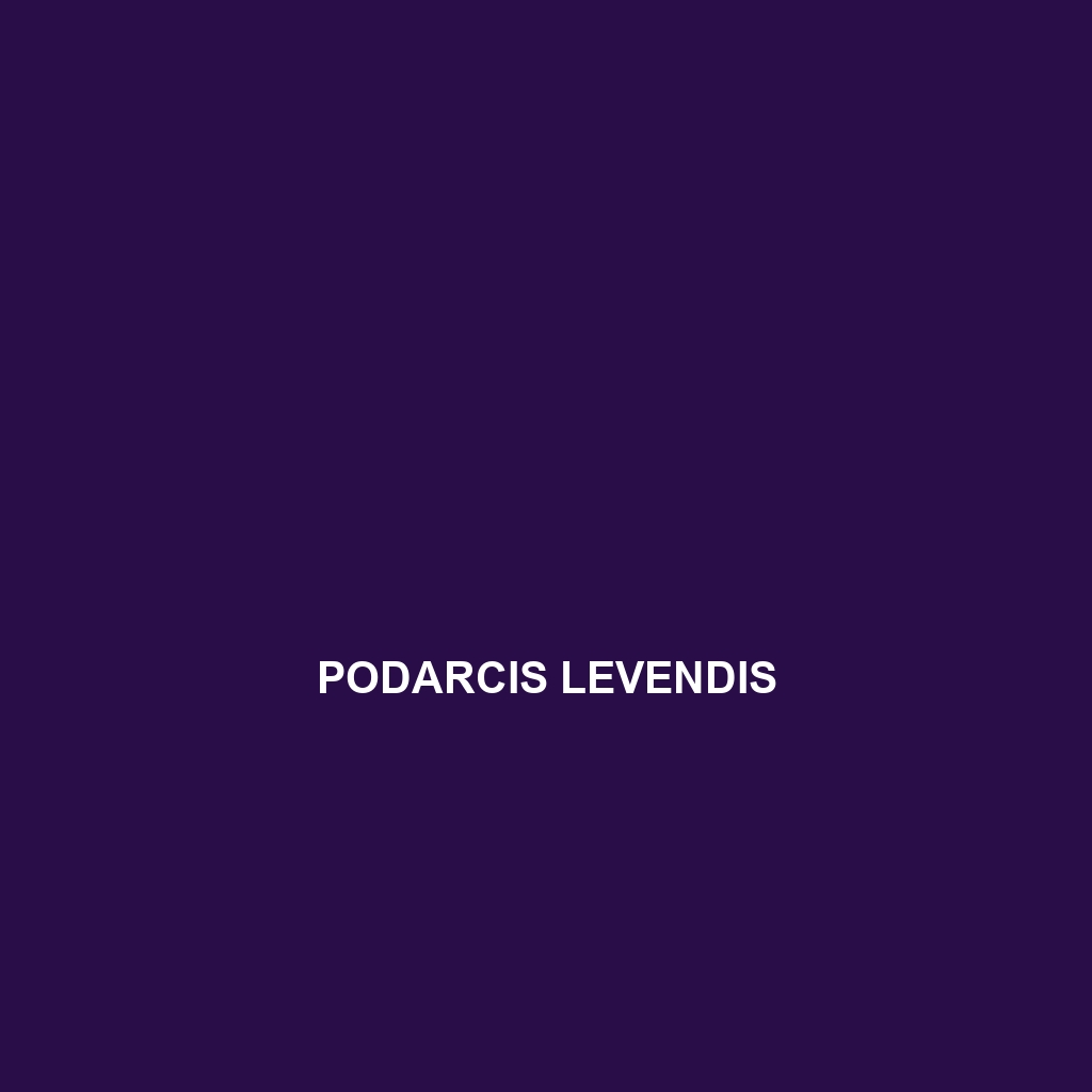 Podarcis levendis