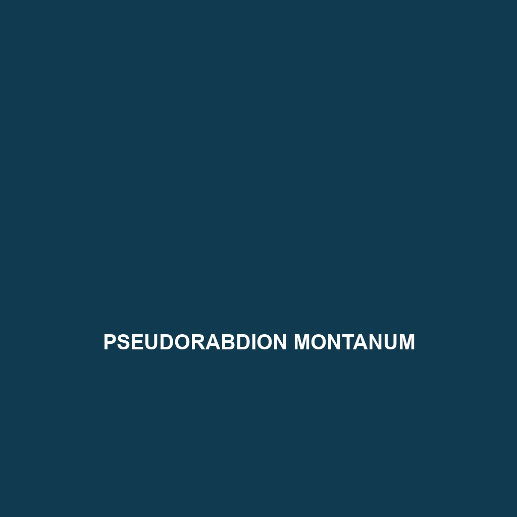 Pseudorabdion montanum