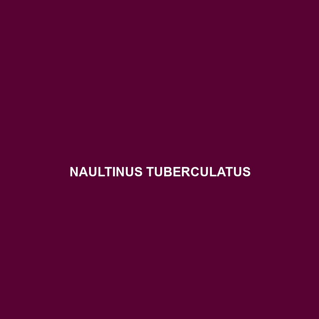 Naultinus tuberculatus