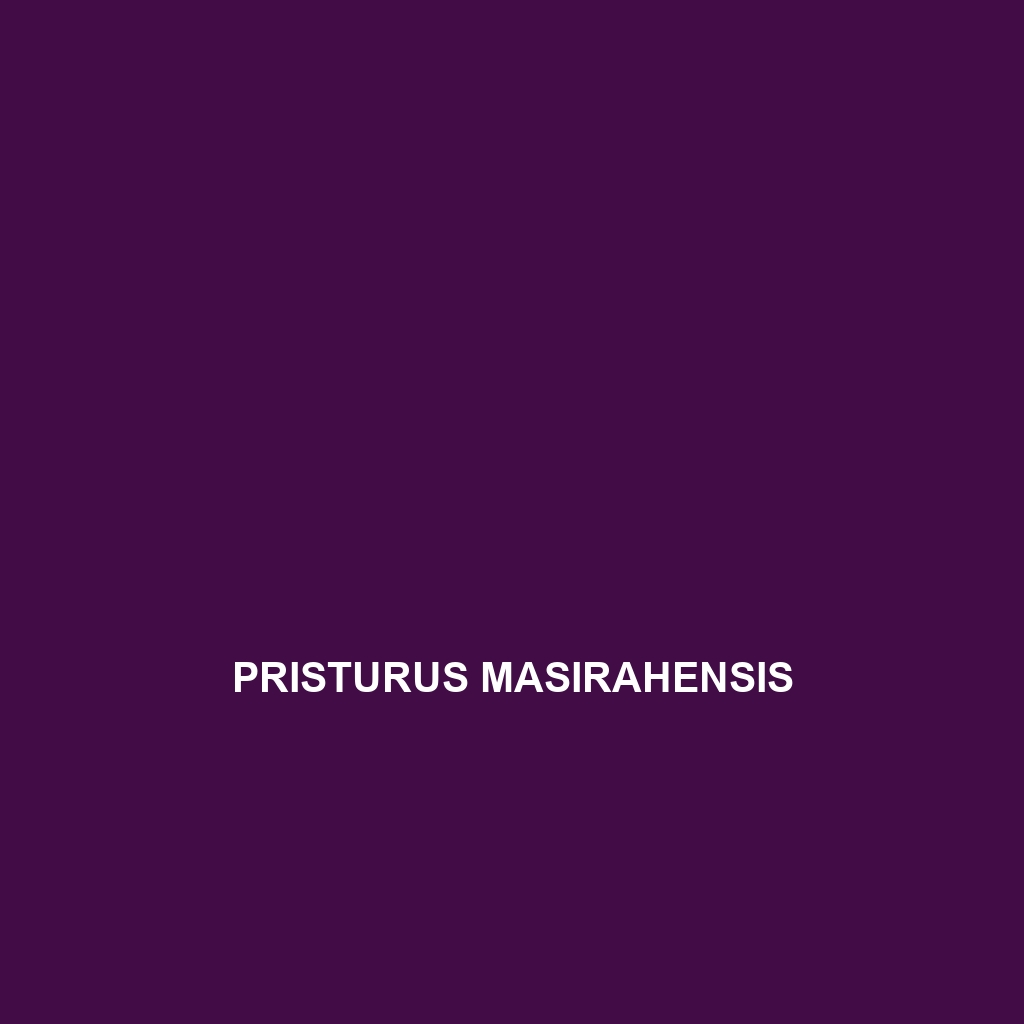 Pristurus masirahensis