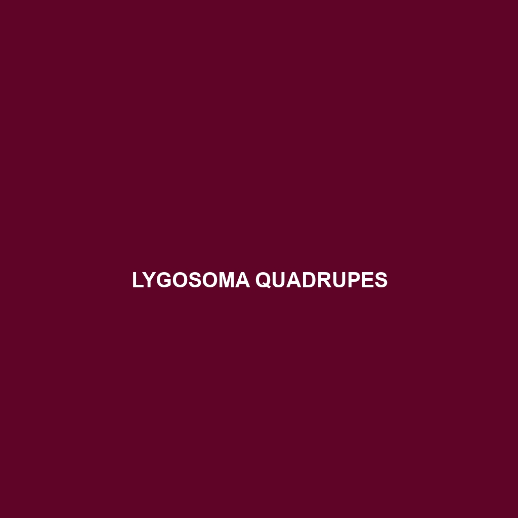 Lygosoma quadrupes