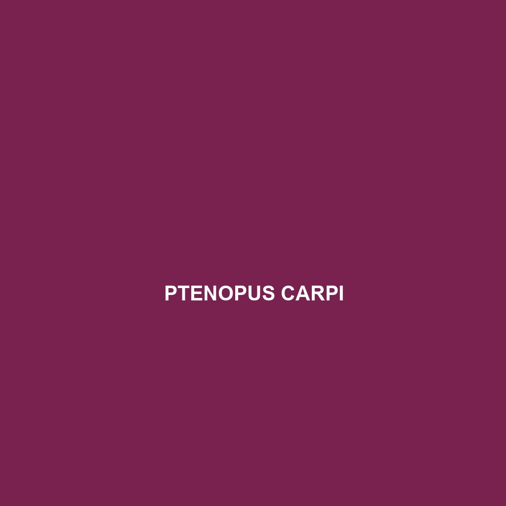 Ptenopus carpi