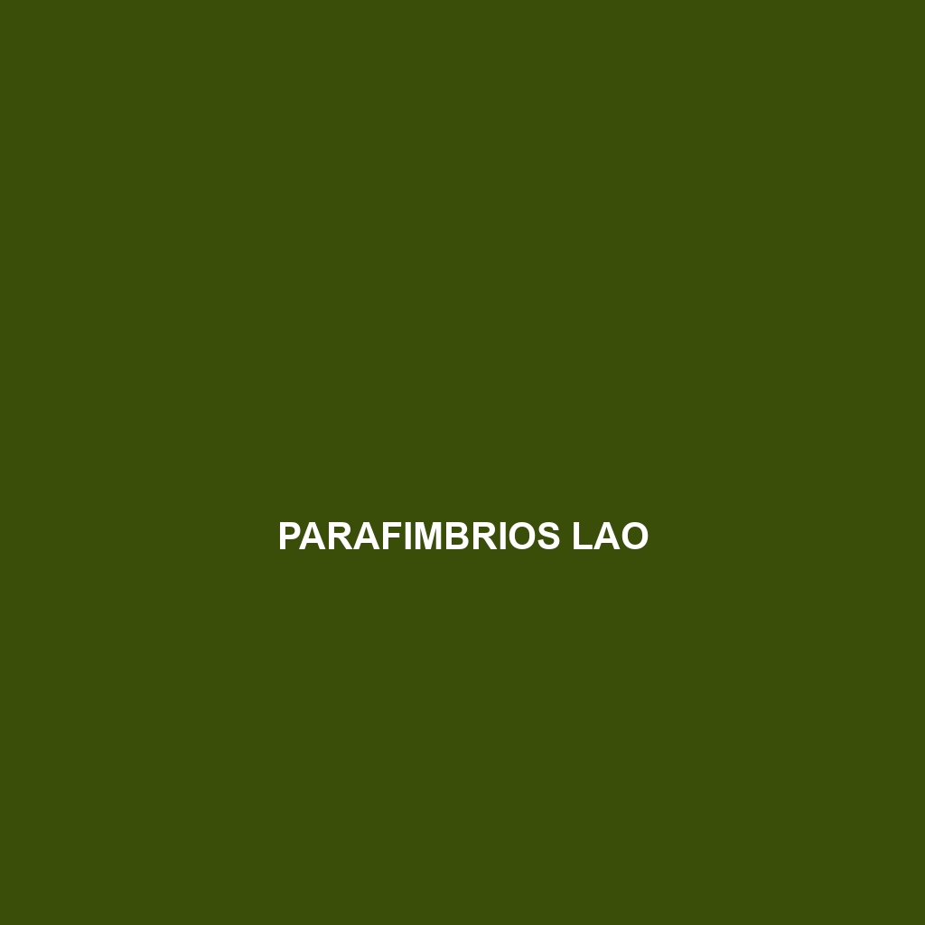 Parafimbrios lao