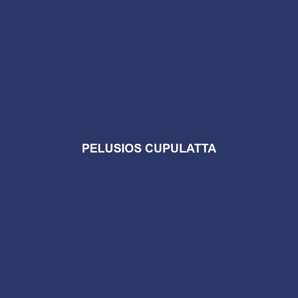 Pelusios cupulatta