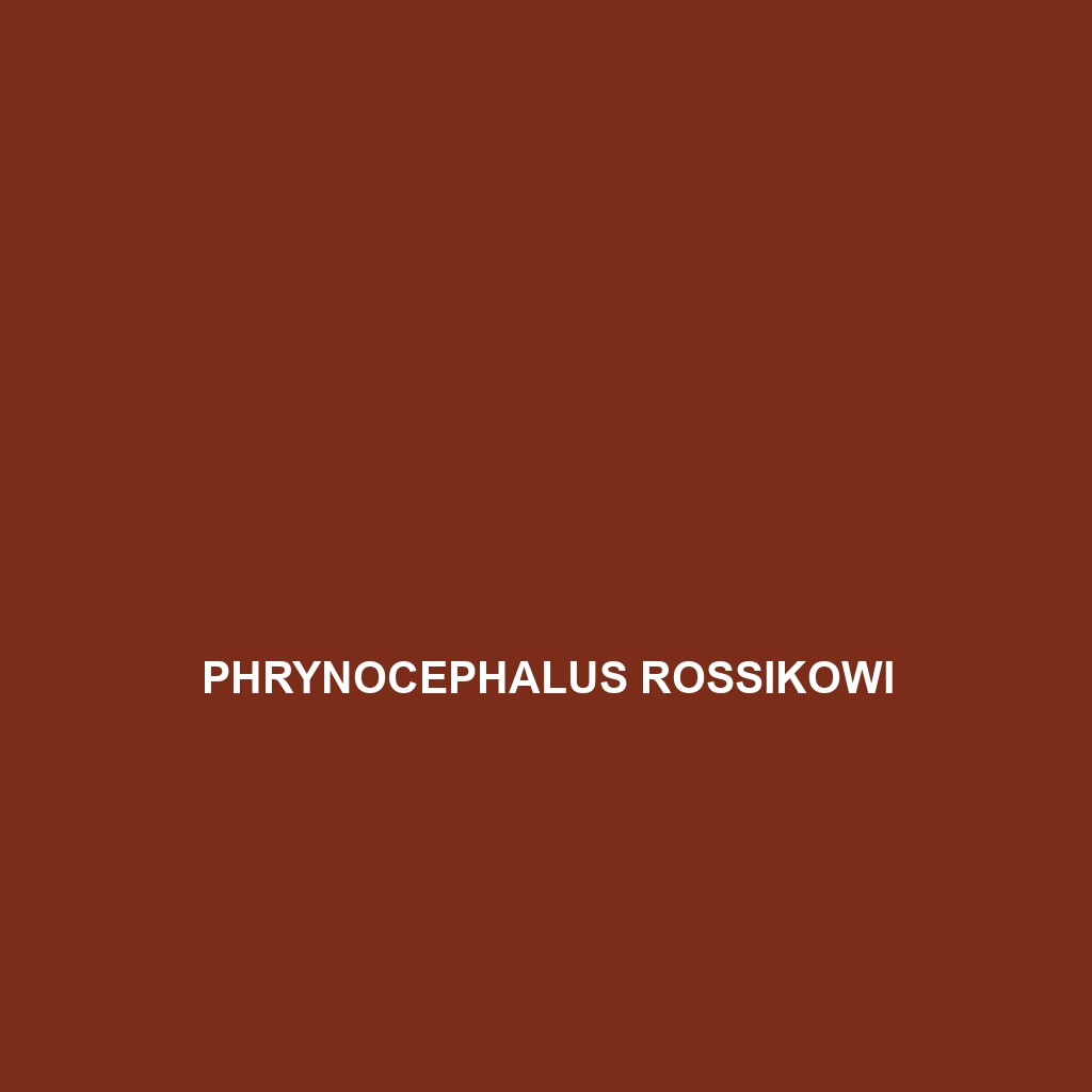 Phrynocephalus rossikowi