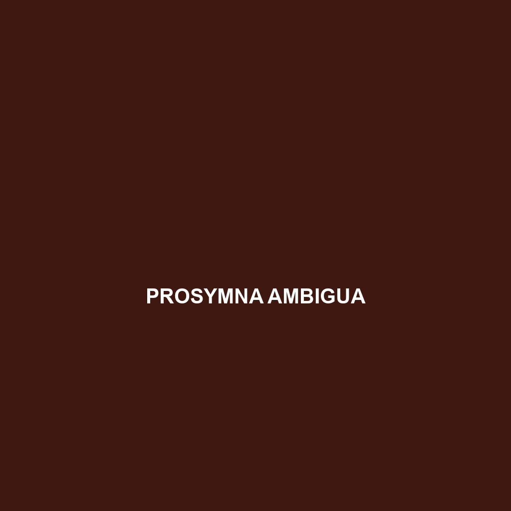 Prosymna ambigua