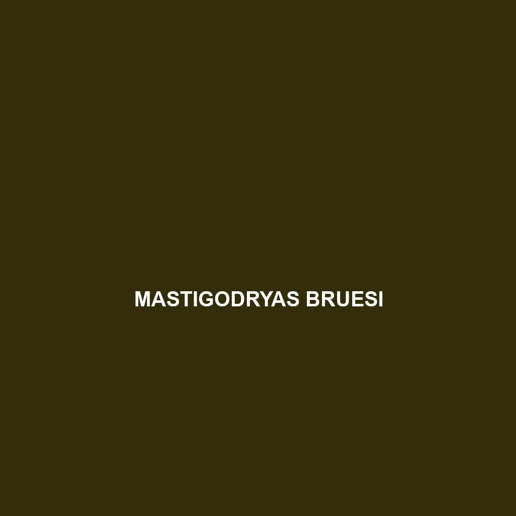 Mastigodryas bruesi