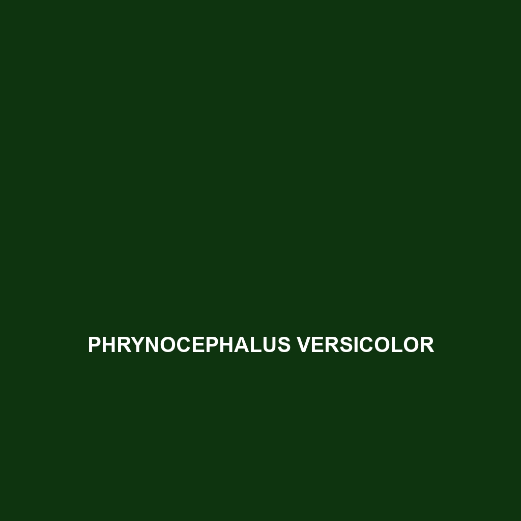 Phrynocephalus theobaldi