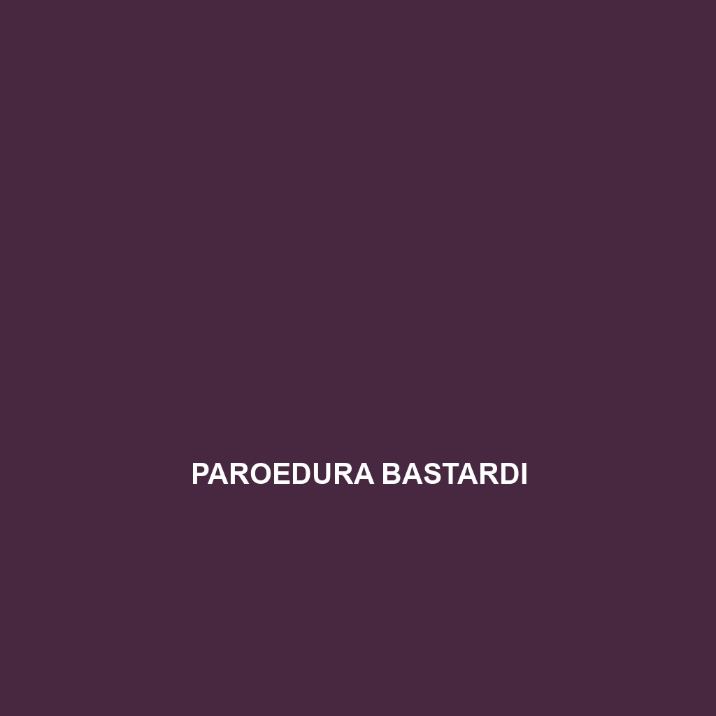 Paroedura bastardi