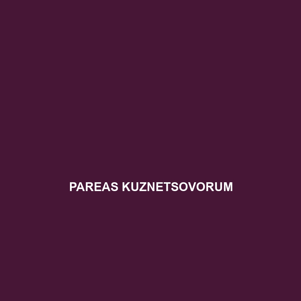 Pareas kuznetsovorum