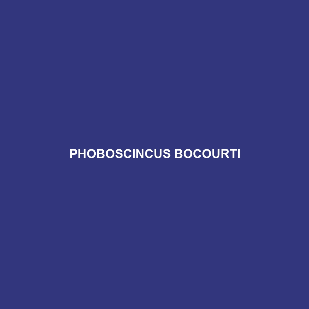 Phoboscincus bocourti