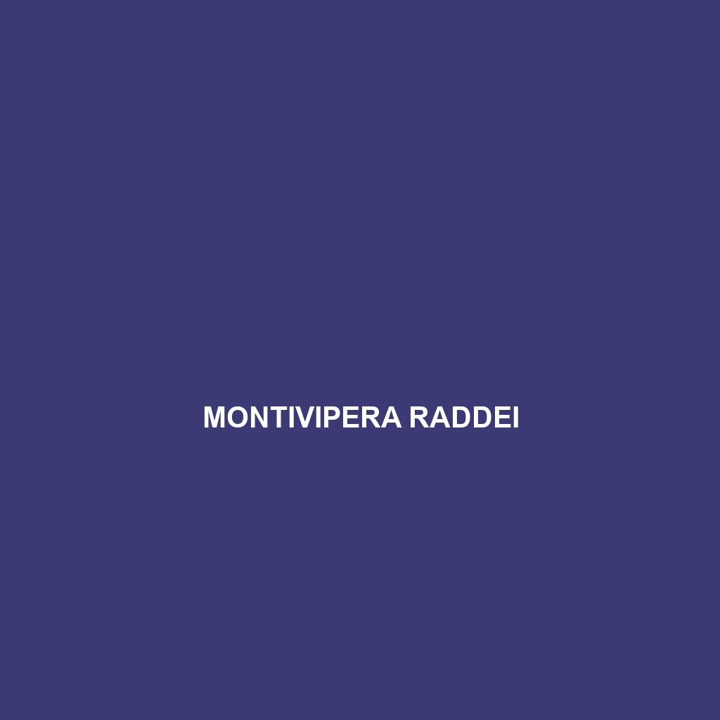 Montivipera raddei