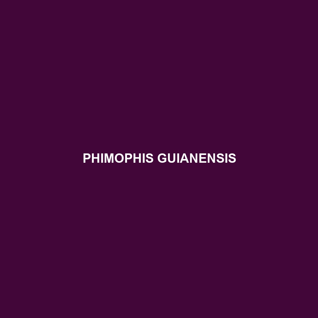 Phimophis guianensis