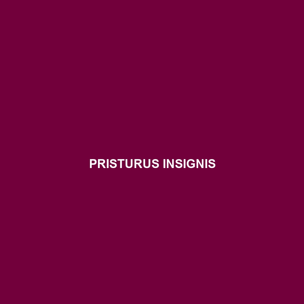 Pristurus insignis