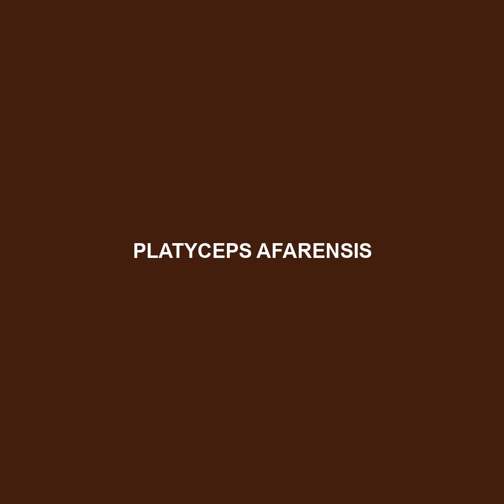 Platyceps afarensis