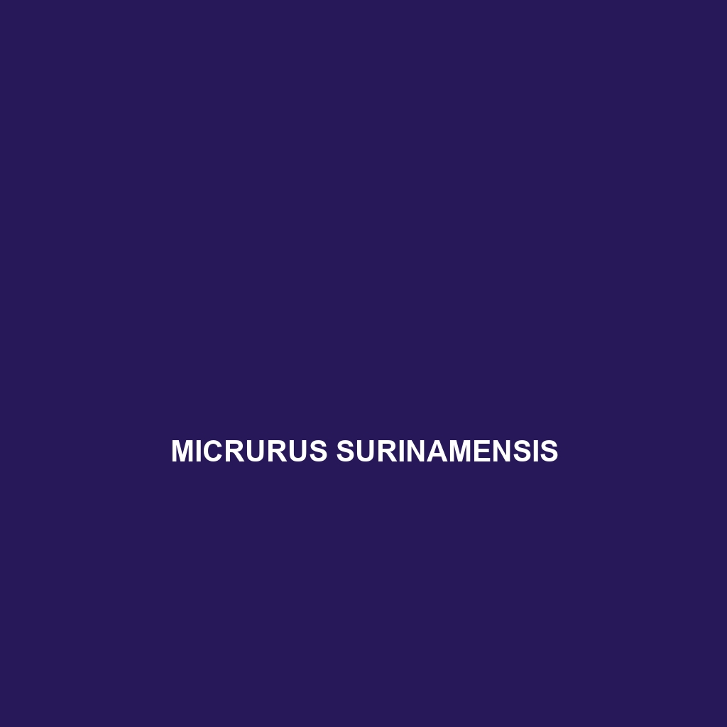 Micrurus surinamensis