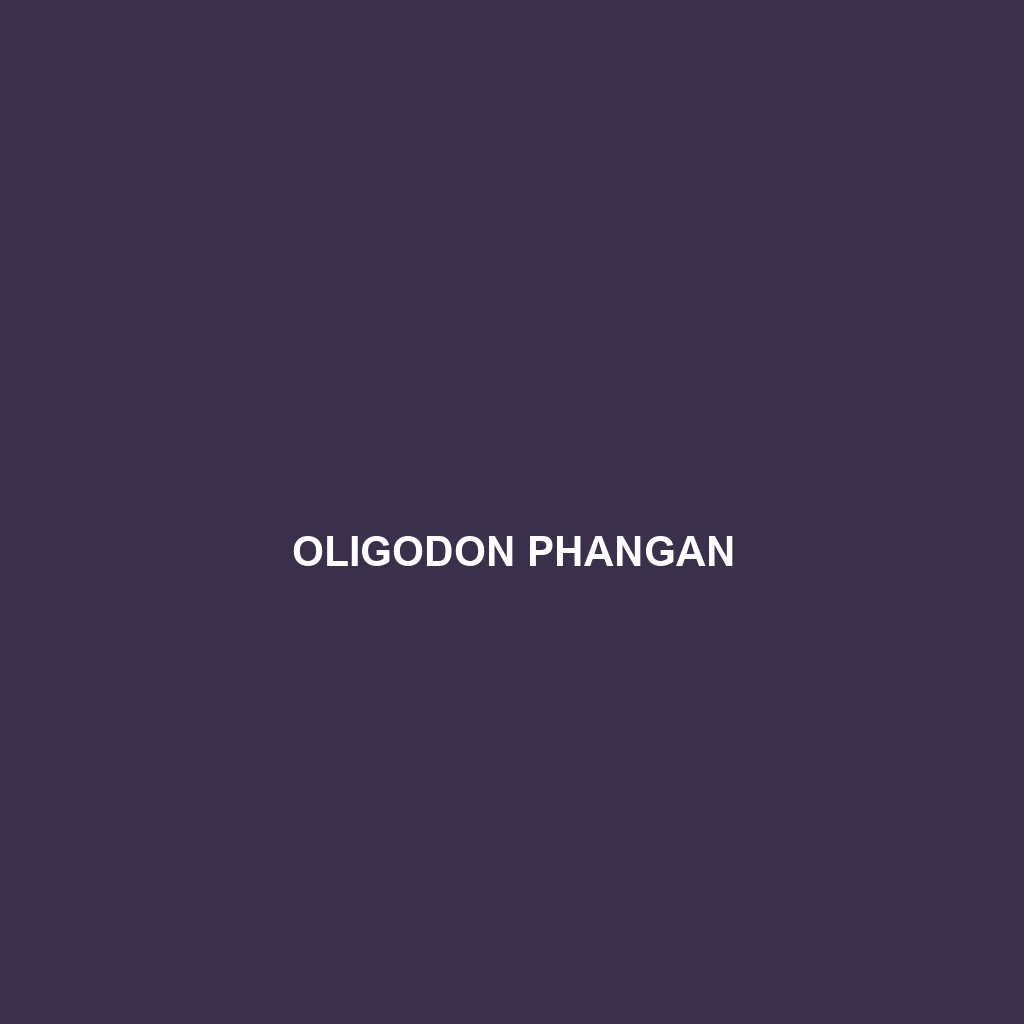 Oligodon phangan