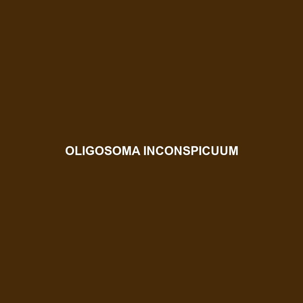 Oligosoma inconspicuum