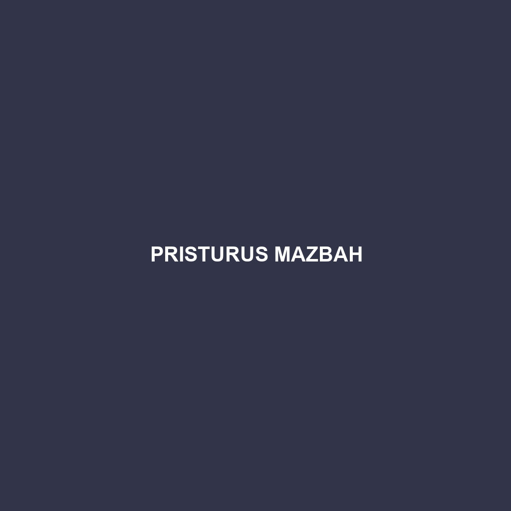 Pristurus mazbah