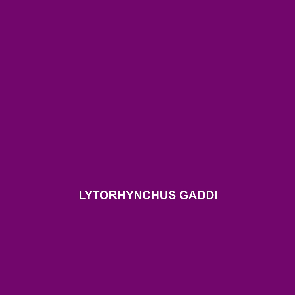 Lytorhynchus gaddi