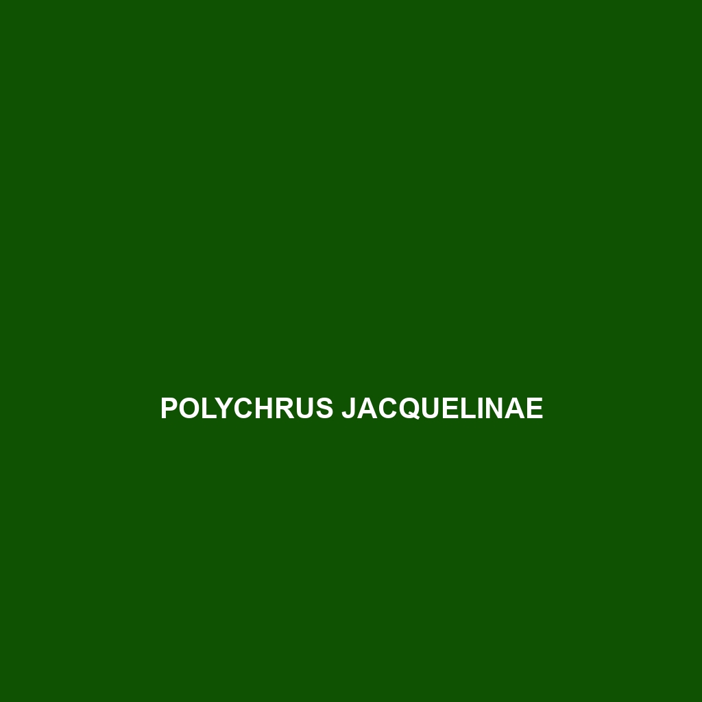 Polychrus jacquelinae