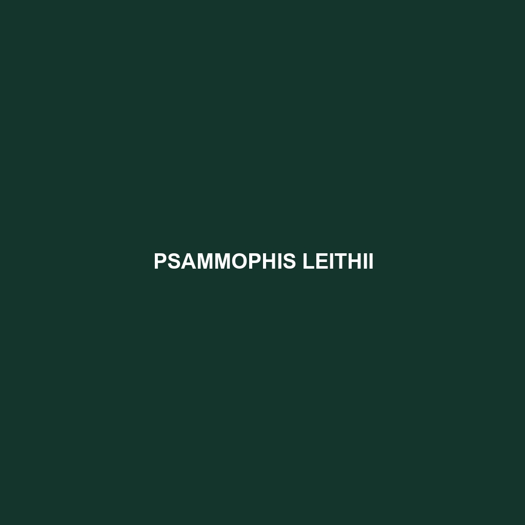 Psammophis leithii